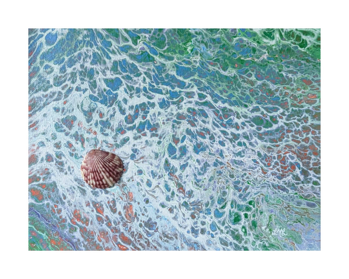 Coastal Tide Seashell - Limited Edition Print