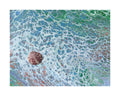 Coastal Tide Seashell - Limited Edition Print