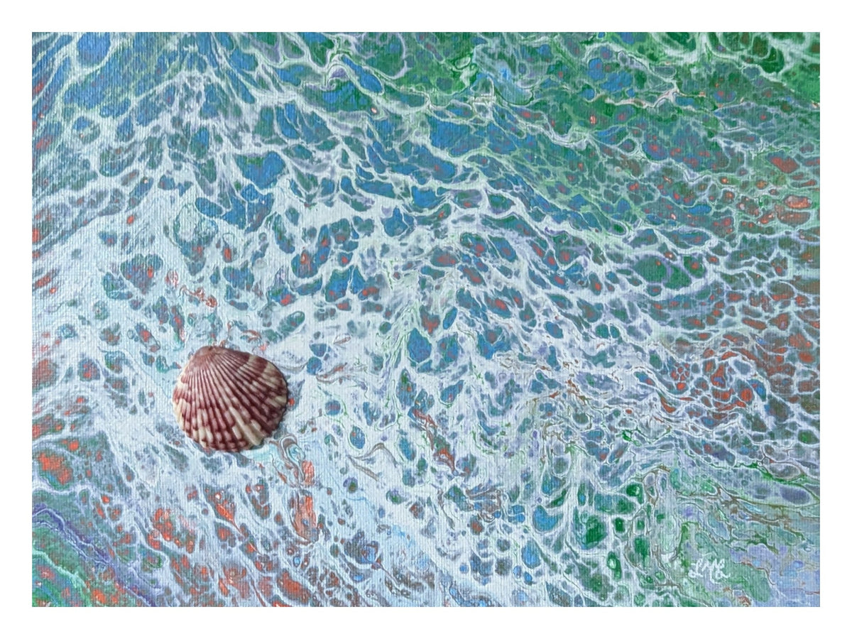 Coastal Tide Seashell - Limited Edition Print