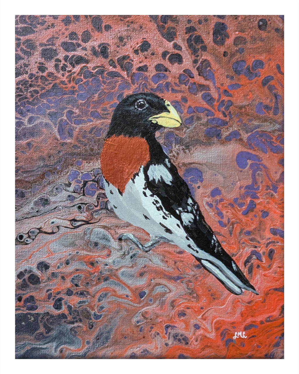 Migratory Rose-Breasted Grosbeak - Art Print
