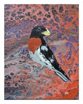 Migratory Rose-Breasted Grosbeak - Art Print